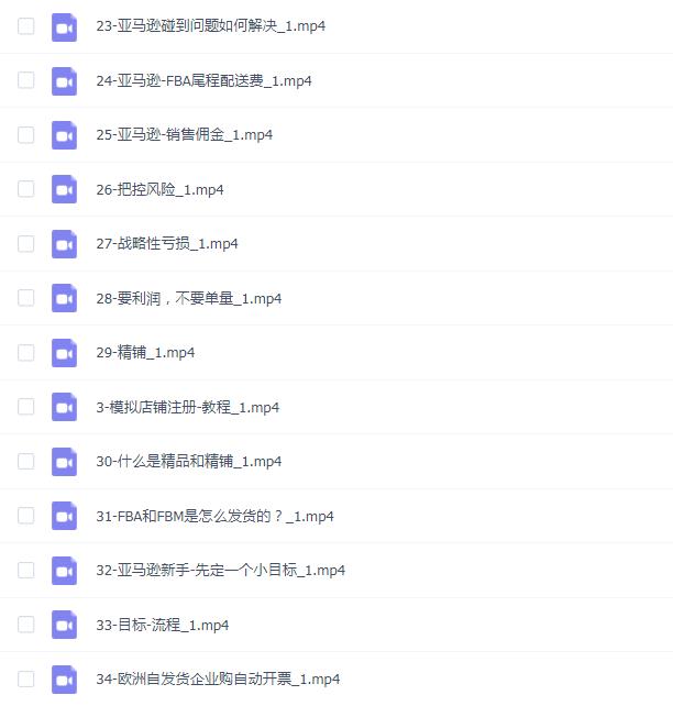 亚马逊1对1陪跑课FBA FBM课程