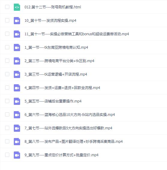焦点电商tk跨境小店运营班,Tiktok东南亚跨境小店运营班