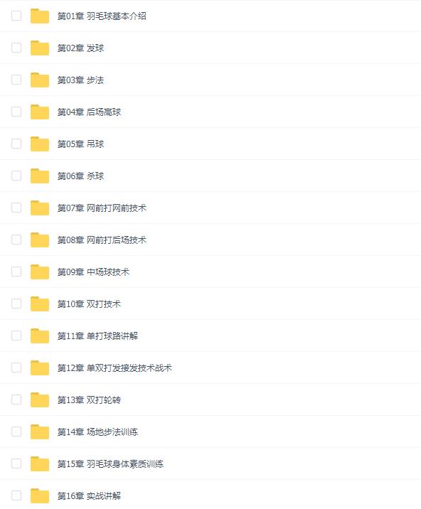 陈金羽毛球金羽飞扬世界冠军的羽毛球课堂